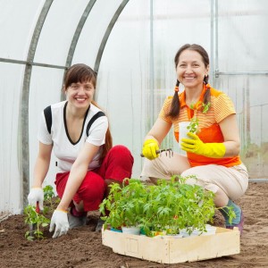 Revitalize Downtown: Build a Community Garden