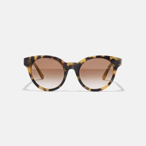 Polaroid Sunglasses